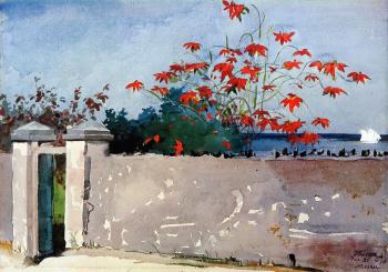 Winslow Homer : A Wall, Nassau II